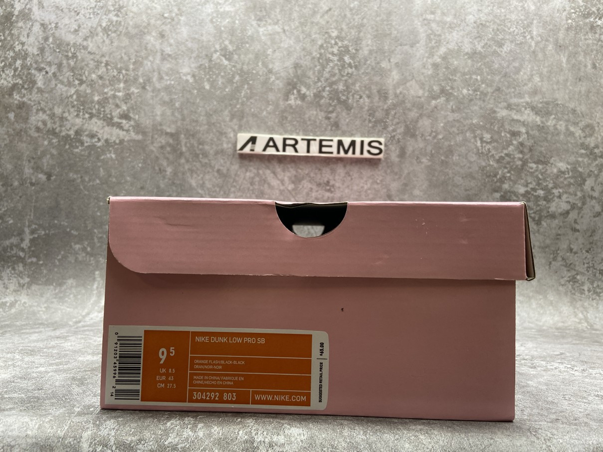 Nike Dunk SB Low Raygun