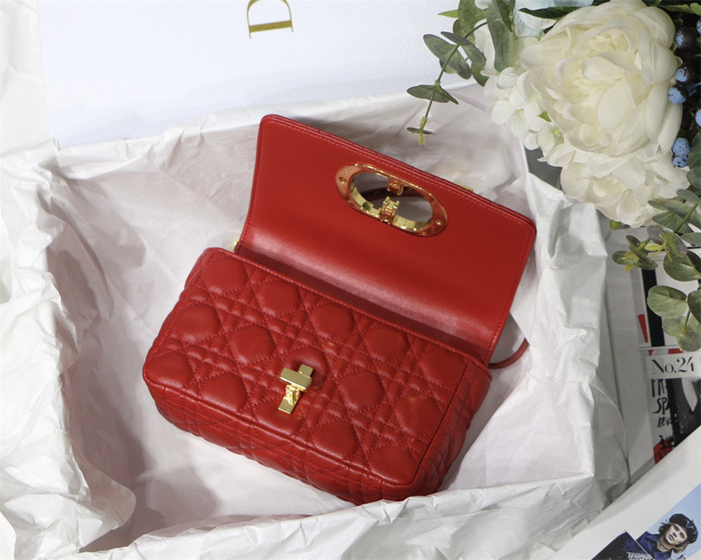small d*or caro bag red S*pple cannage calfskin 20 x 12 x 7 cm