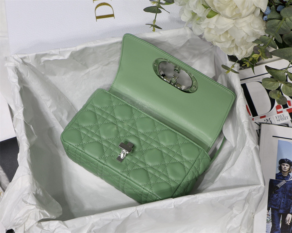 small d*or caro bag green S*pple cannage calfskin with silver hardware 20 x 12 x 7 cm
