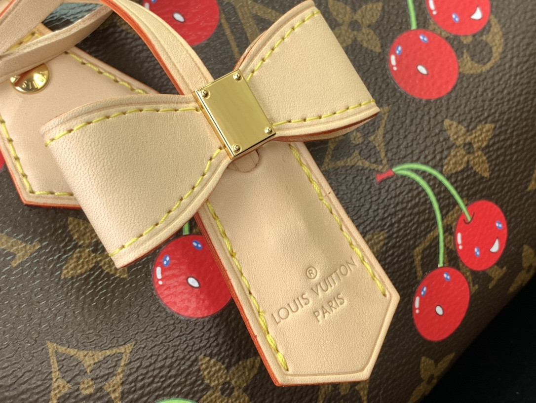 LV × TM Speedy Bandouliere 20 M13094